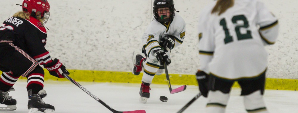 GirlsEishockey.de e.V.