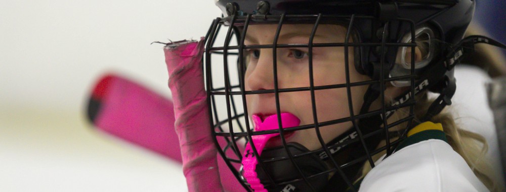 GirlsEishockey.de e.V.