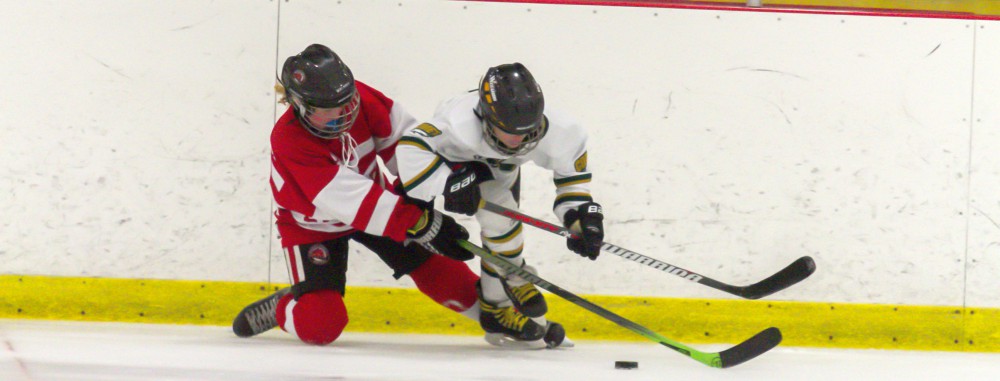 GirlsEishockey.de e.V.