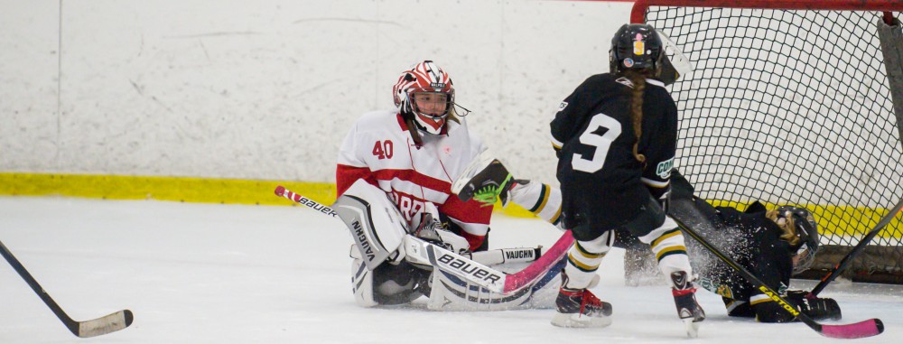 GirlsEishockey.de e.V.