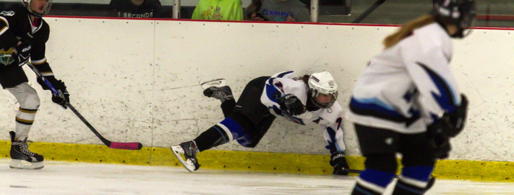 GirlsEishockey.de e.V.