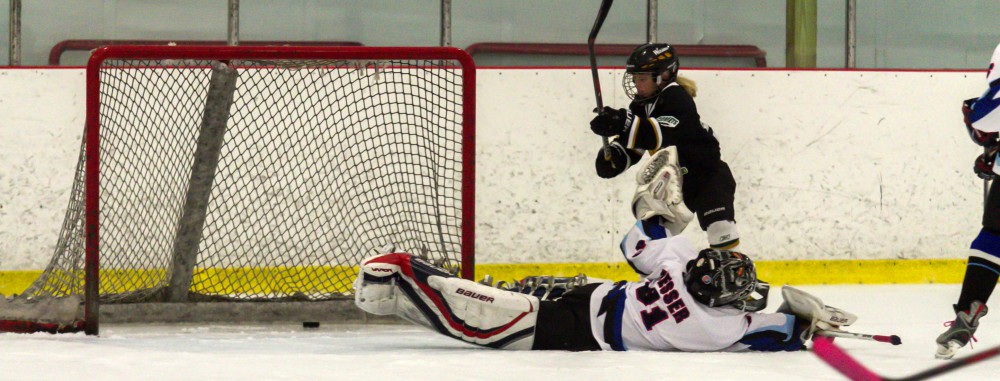 GirlsEishockey.de e.V.