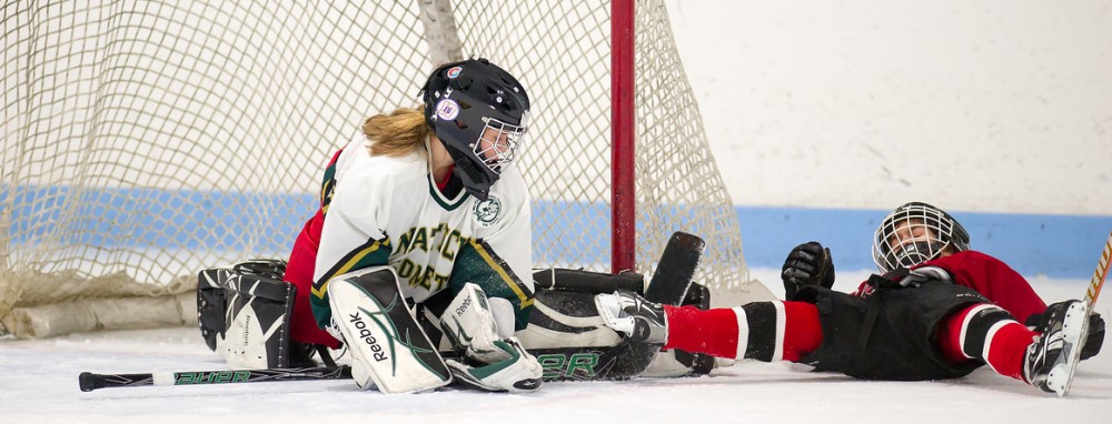 GirlsEishockey.de e.V.