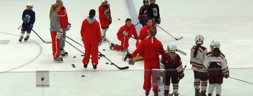 GirlsEishockey.de e.V.