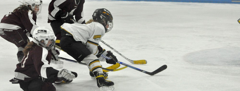 GirlsEishockey.de e.V.