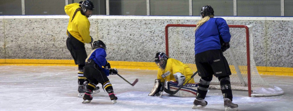 GirlsEishockey.de e.V.