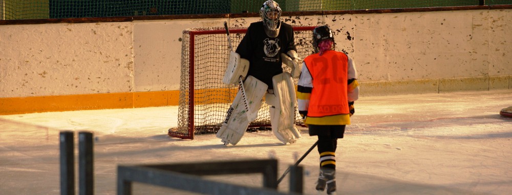 GirlsEishockey.de e.V.