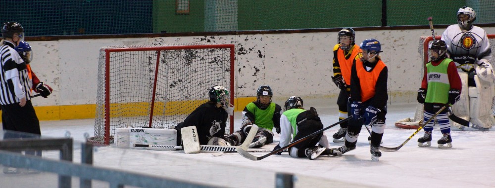 GirlsEishockey.de e.V.