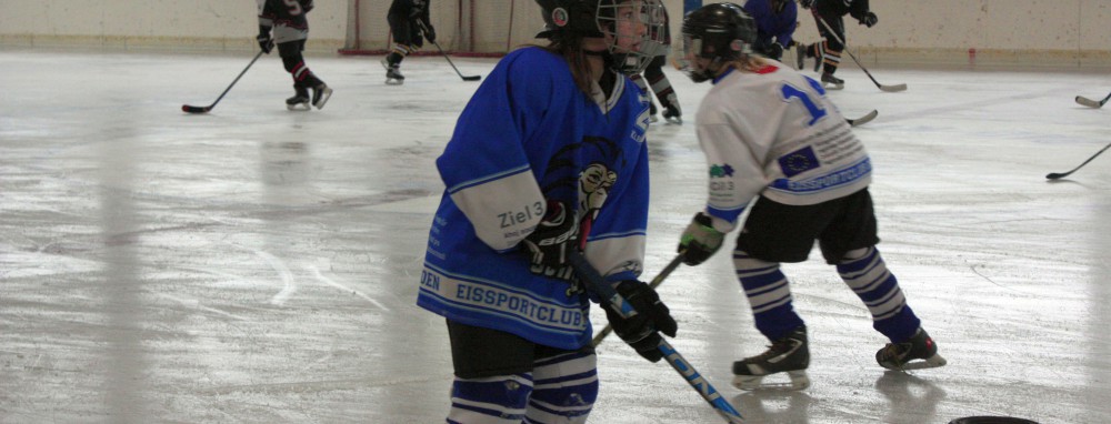 GirlsEishockey.de e.V.