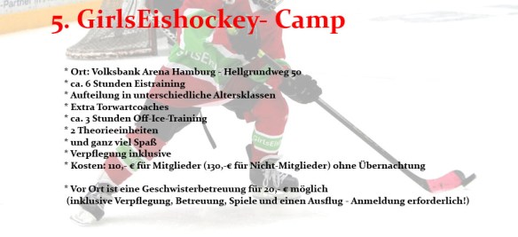 Flyer_Rückseite Kopie