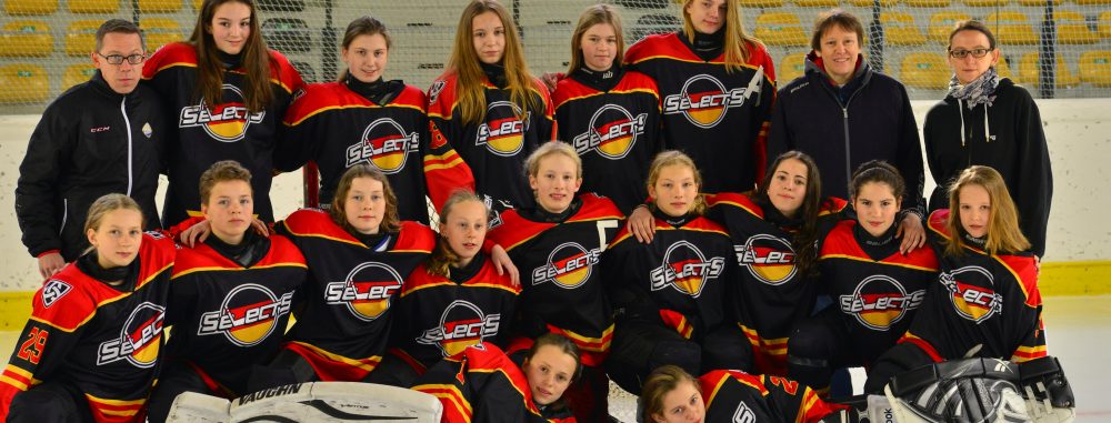 GirlsEishockey.de e.V.