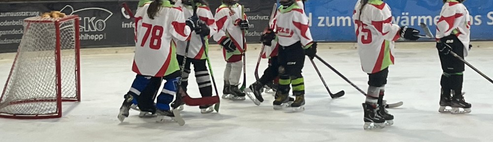 U9 beim Turnier in Schweinfurt 2025.